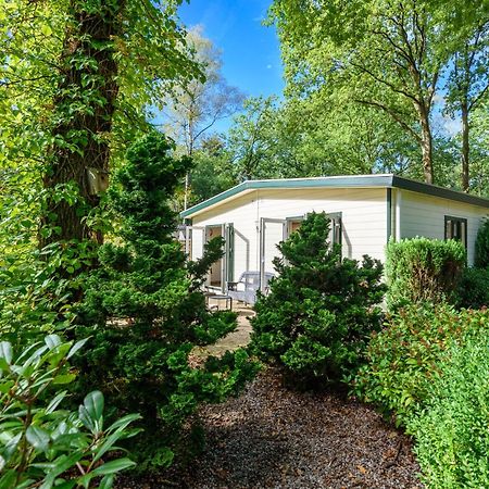 Luxe Familiehuis Veluwe 4-6 Persons Pool Kids Dog Hoenderloo Exteriér fotografie